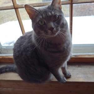 Fundraising Page: Deborah Gale